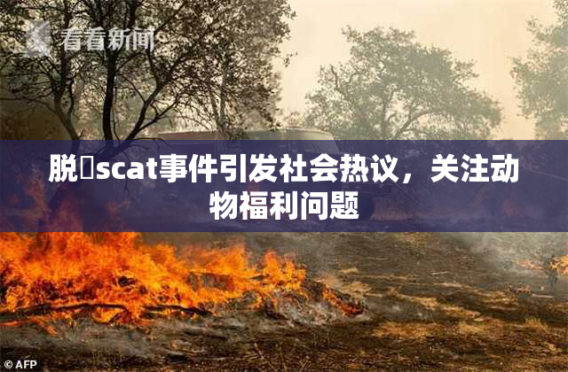 脱糞scat事件引发社会热议，关注动物福利问题