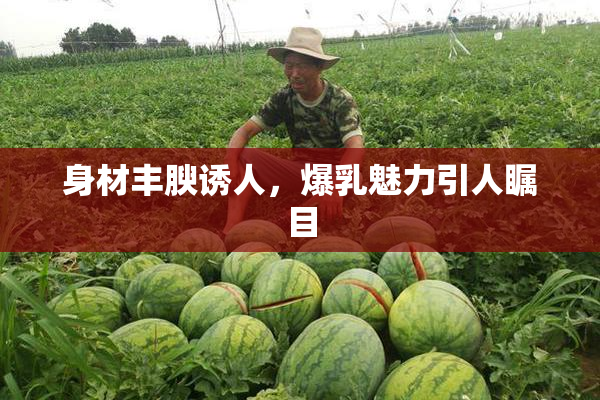 身材丰腴诱人，爆乳魅力引人瞩目