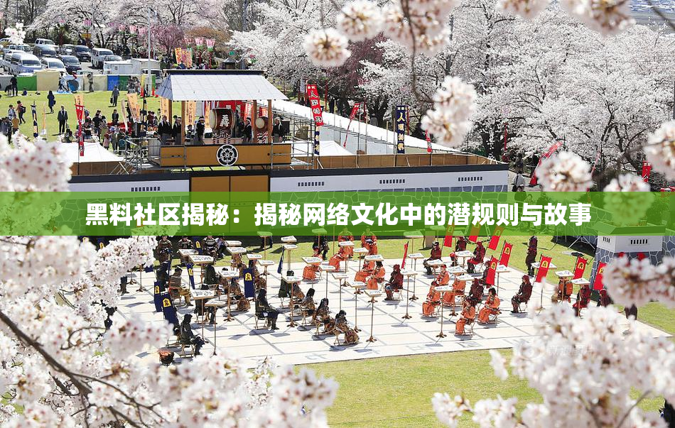 黑料社区揭秘：揭秘网络文化中的潜规则与故事