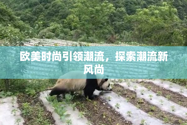 欧美时尚引领潮流，探索潮流新风尚