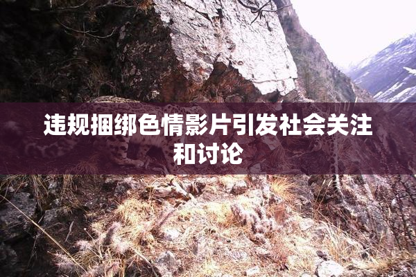 违规捆绑色情影片引发社会关注和讨论