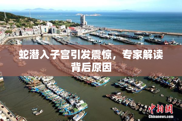 蛇潜入子宫引发震惊，专家解读背后原因
