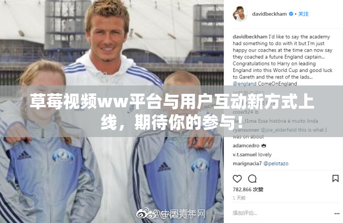 草莓视频ww平台与用户互动新方式上线，期待你的参与！
