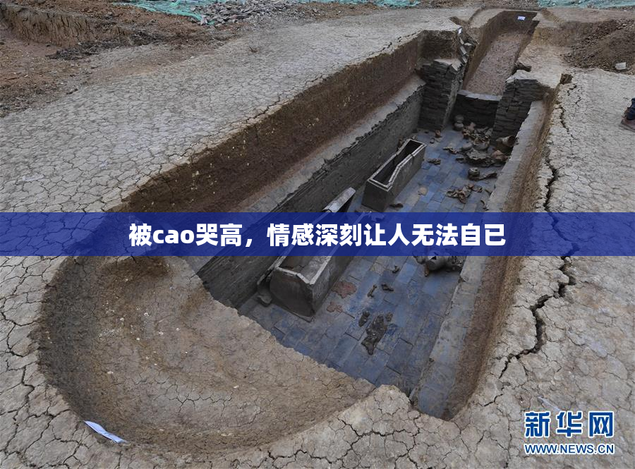 被cao哭高，情感深刻让人无法自已