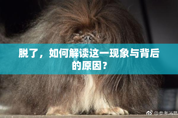 脱了，如何解读这一现象与背后的原因？