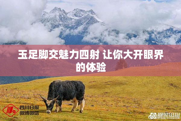 玉足脚交魅力四射 让你大开眼界的体验