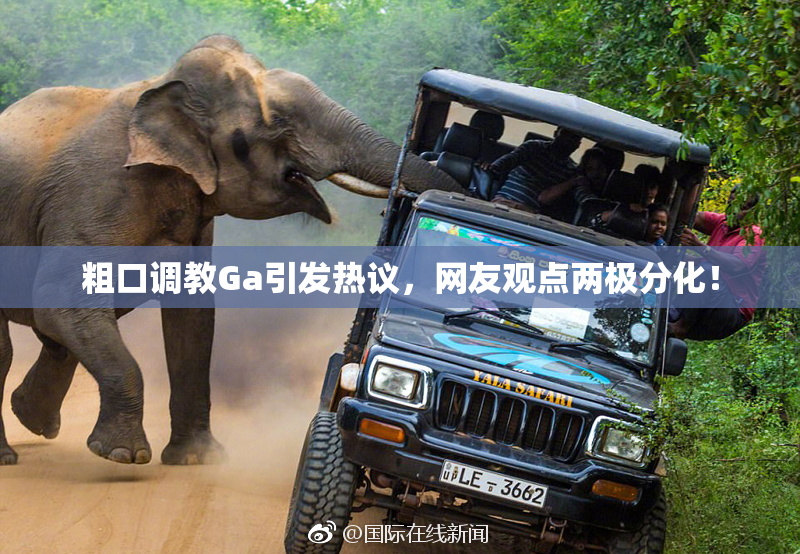 粗口调教Ga引发热议，网友观点两极分化！