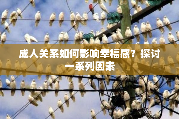 成人关系如何影响幸福感？探讨一系列因素