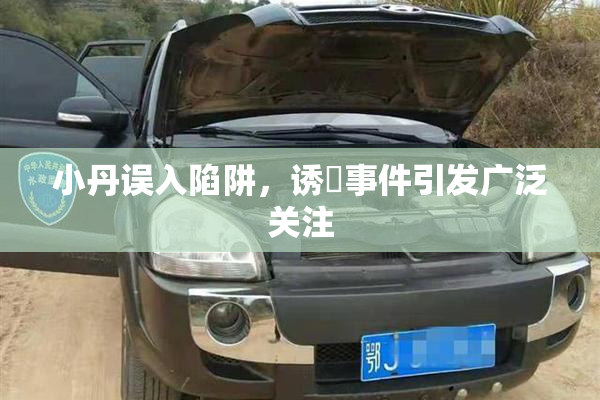 小丹误入陷阱，诱奷事件引发广泛关注