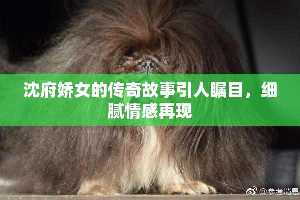 沈府娇女的传奇故事引人瞩目，细腻情感再现
