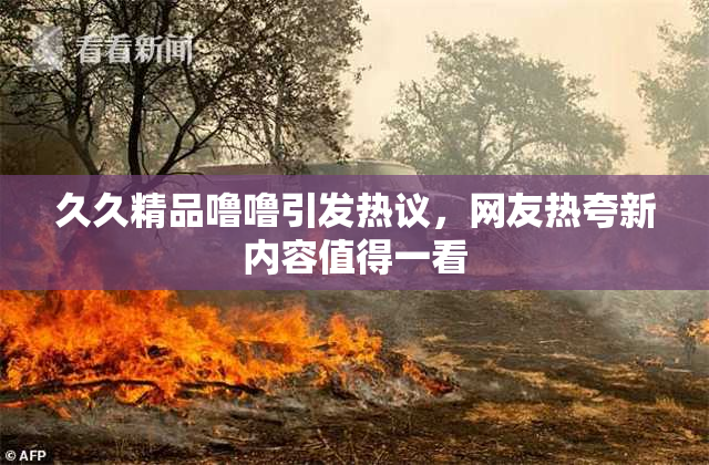 久久精品噜噜引发热议，网友热夸新内容值得一看