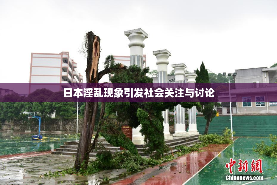 日本淫乱现象引发社会关注与讨论