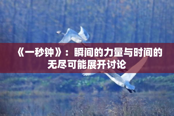 《一秒钟》：瞬间的力量与时间的无尽可能展开讨论