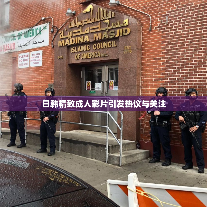 日韩精致成人影片引发热议与关注
