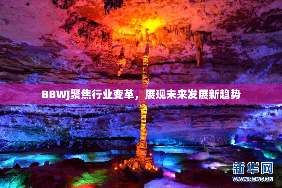 BBWJ聚焦行业变革，展现未来发展新趋势