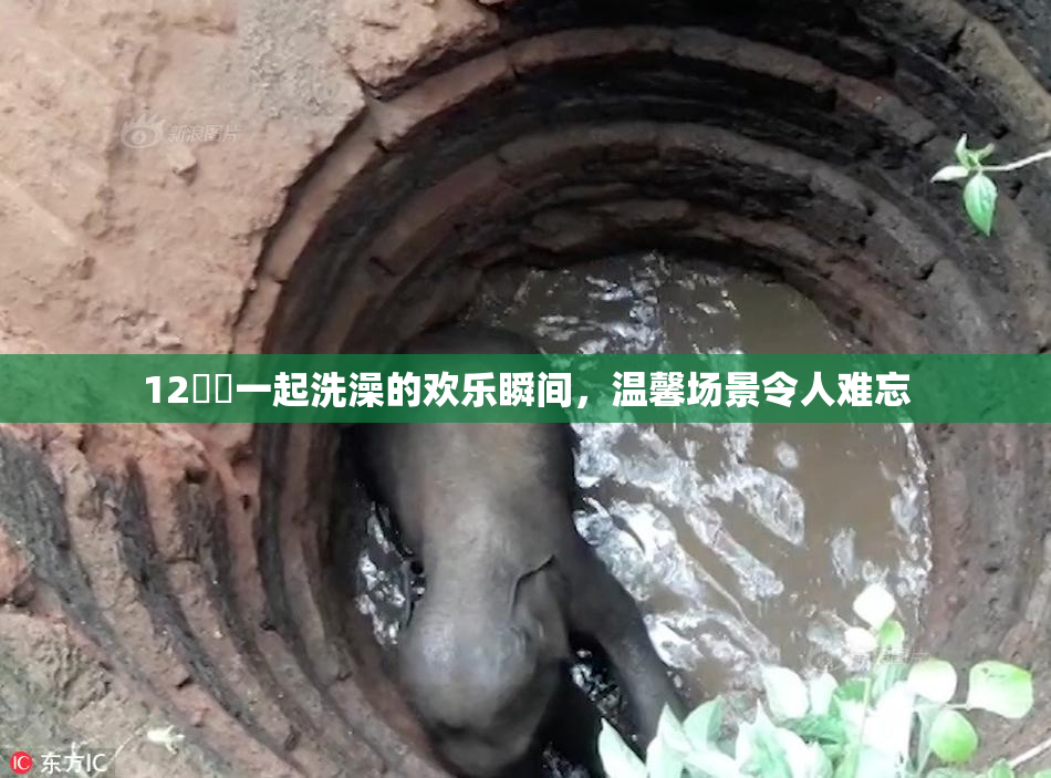 12妺妺一起洗澡的欢乐瞬间，温馨场景令人难忘