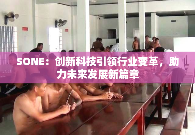 SONE：创新科技引领行业变革，助力未来发展新篇章