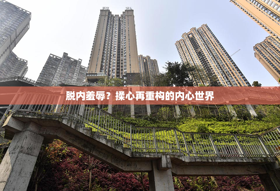 脱内羞辱？揉心再重构的内心世界