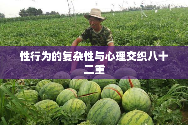 性行为的复杂性与心理交织八十二重