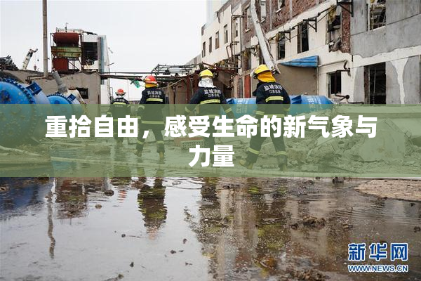 重拾自由，感受生命的新气象与力量