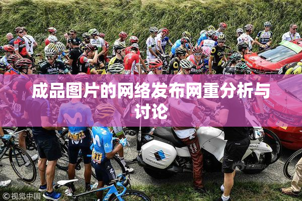 成品图片的网络发布网重分析与讨论