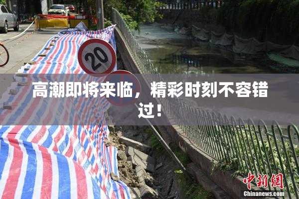 高潮即将来临，精彩时刻不容错过！