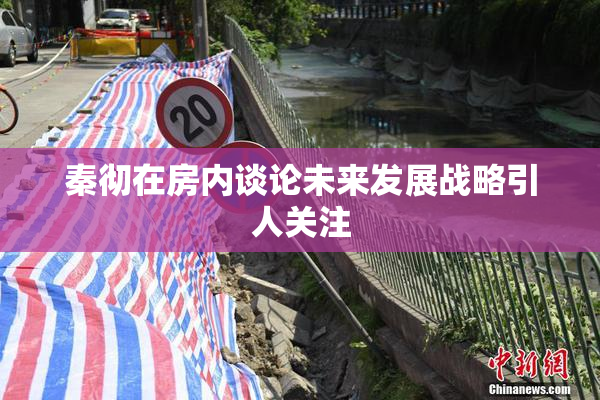 秦彻在房内谈论未来发展战略引人关注