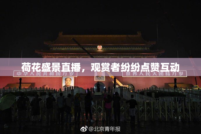 荷花盛景直播，观赏者纷纷点赞互动