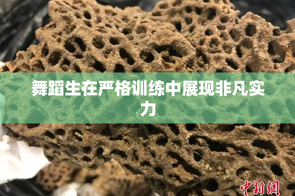 舞蹈生在严格训练中展现非凡实力