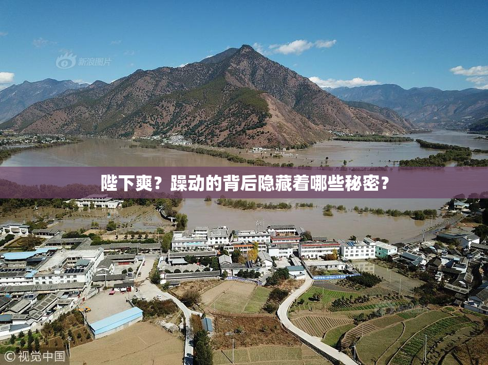 陛下爽？躁动的背后隐藏着哪些秘密？