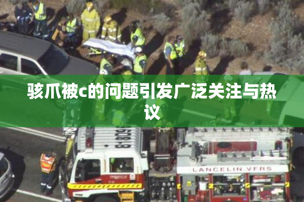 骇爪被c的问题引发广泛关注与热议