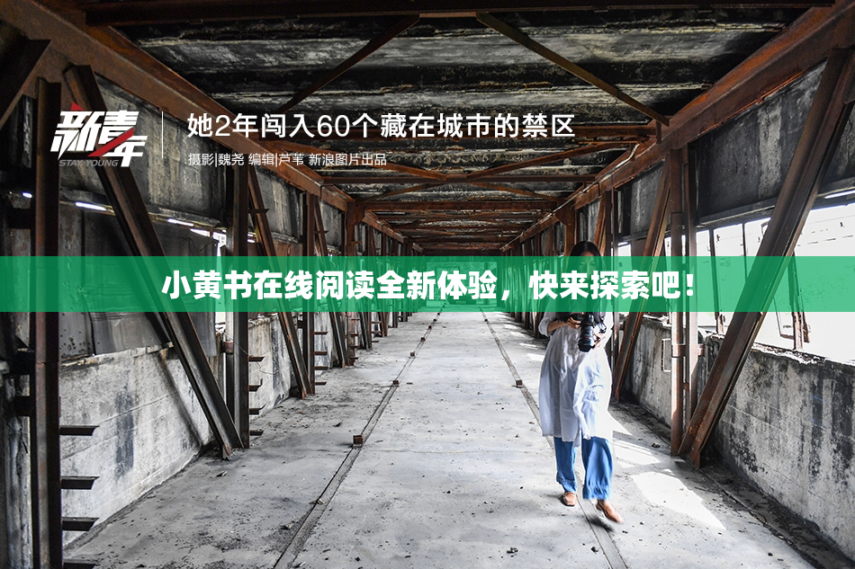 小黄书在线阅读全新体验，快来探索吧！