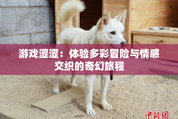 游戏涩涩：体验多彩冒险与情感交织的奇幻旅程