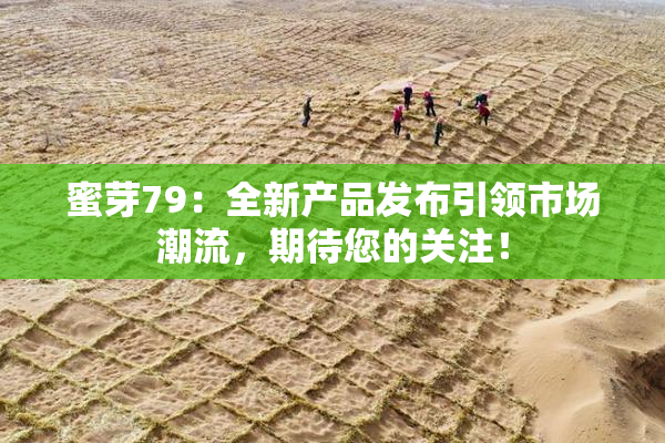蜜芽79：全新产品发布引领市场潮流，期待您的关注！
