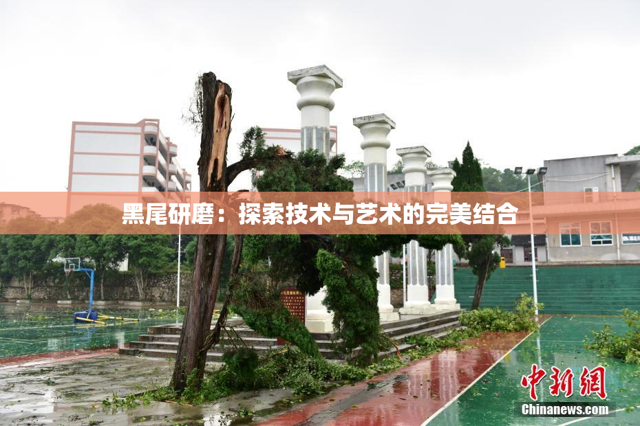 黑尾研磨：探索技术与艺术的完美结合