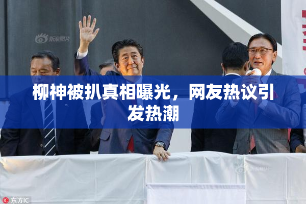 柳神被扒真相曝光，网友热议引发热潮
