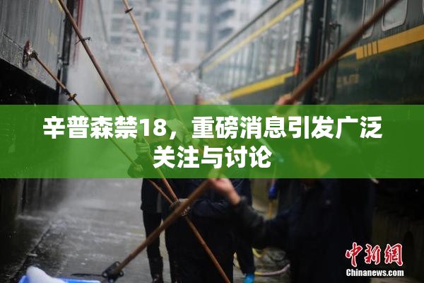 辛普森禁18，重磅消息引发广泛关注与讨论