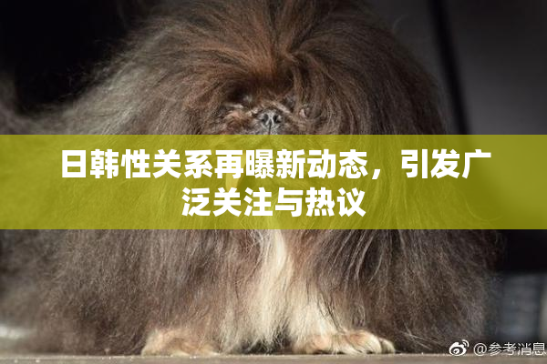 日韩性关系再曝新动态，引发广泛关注与热议