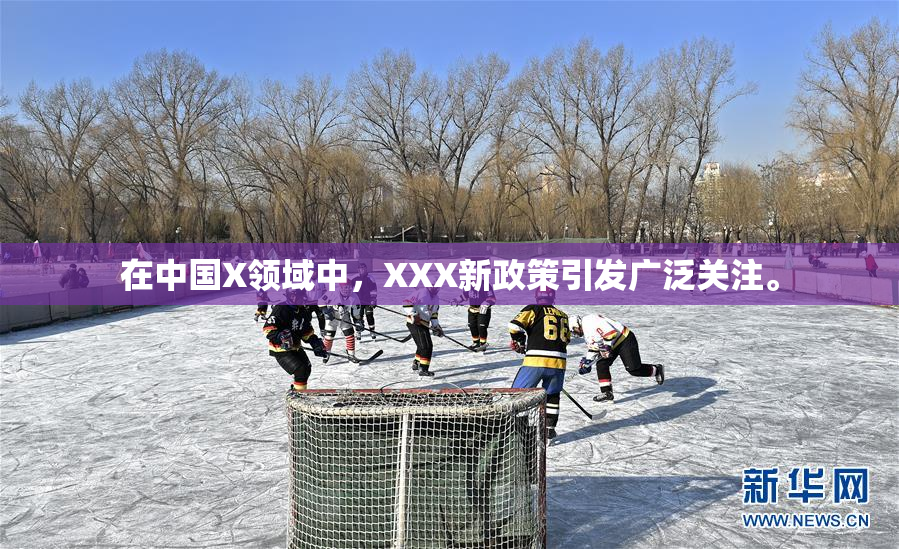 在中国X领域中，XXX新政策引发广泛关注。