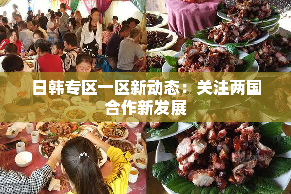 日韩专区一区新动态：关注两国合作新发展