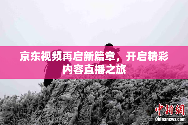 京东视频再启新篇章，开启精彩内容直播之旅