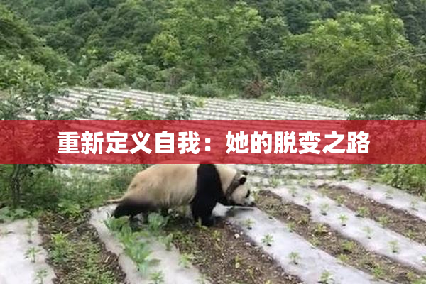 重新定义自我：她的脱变之路
