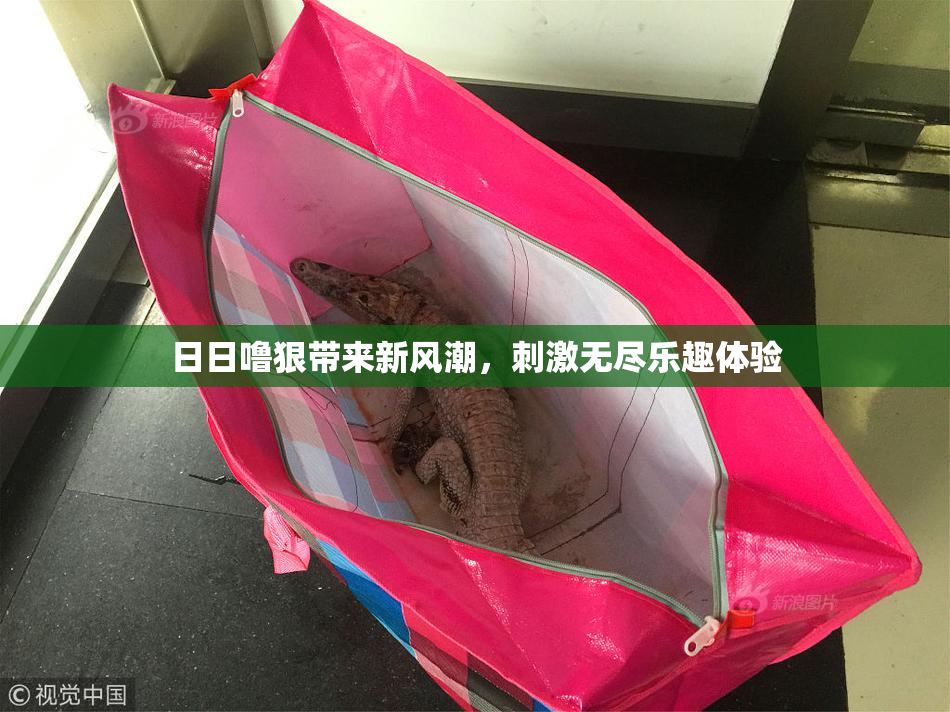 日日噜狠带来新风潮，刺激无尽乐趣体验
