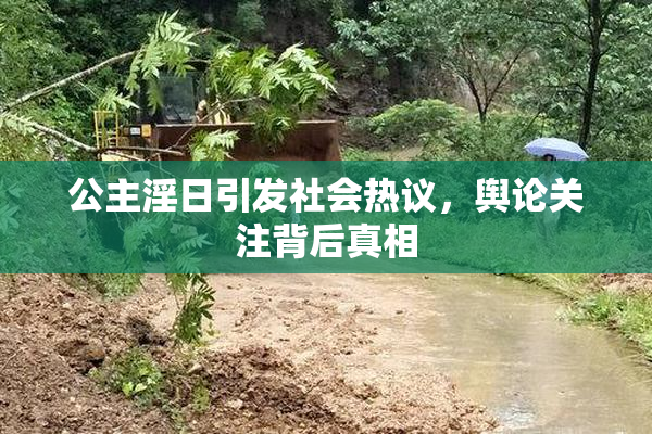 公主淫日引发社会热议，舆论关注背后真相