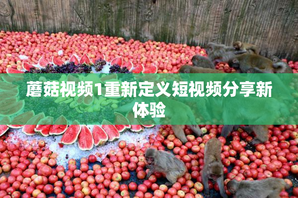 蘑菇视频1重新定义短视频分享新体验