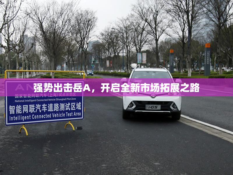 强势出击岳A，开启全新市场拓展之路