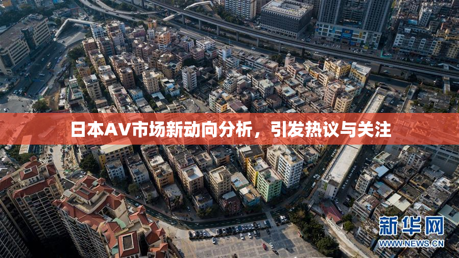日本AV市场新动向分析，引发热议与关注