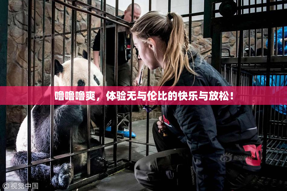 噜噜噜爽，体验无与伦比的快乐与放松！