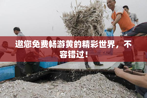 邀您免费畅游黄的精彩世界，不容错过！