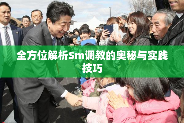全方位解析Sm调教的奥秘与实践技巧